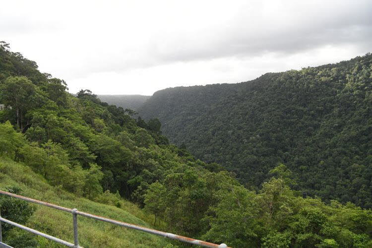 to Cairns 337 Small