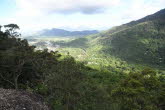 to Cairns 346 Small