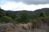 to Cairns 348 Small