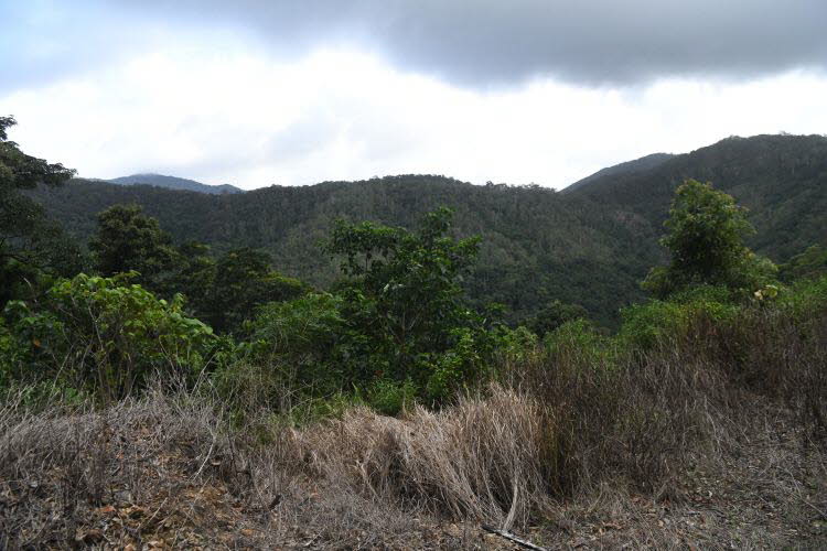 to Cairns 348 Small