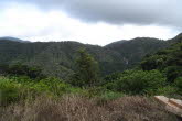 to Cairns 349 Small