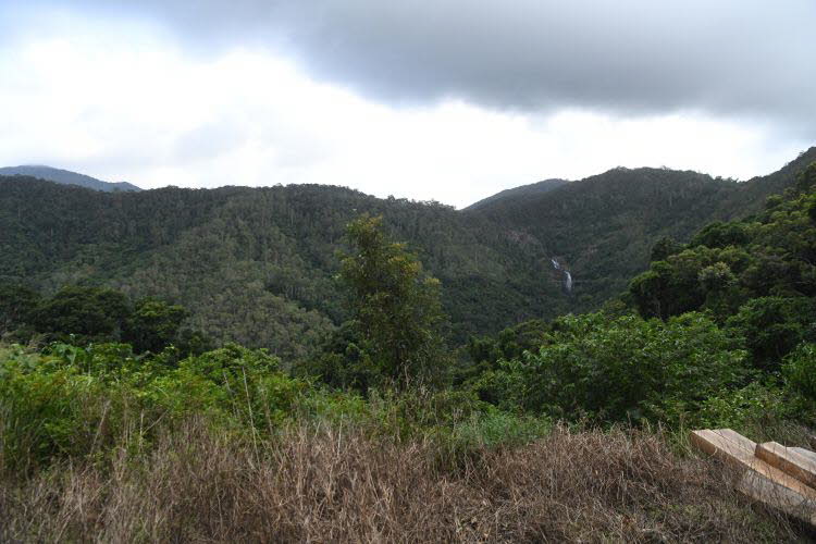 to Cairns 349 Small