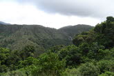 to Cairns 350 Small