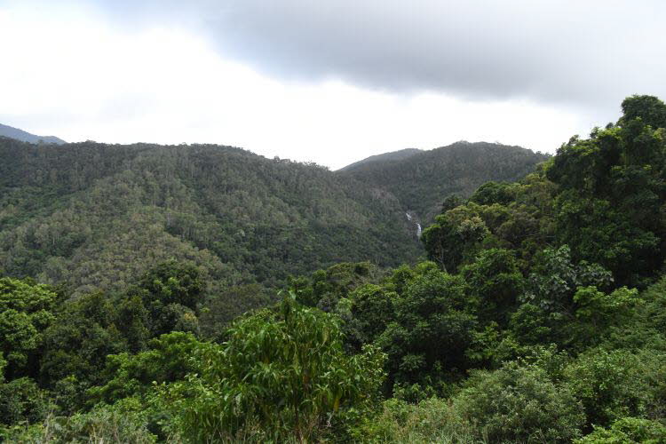 to Cairns 350 Small