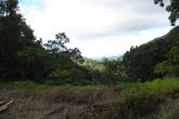 to Cairns 351 Small