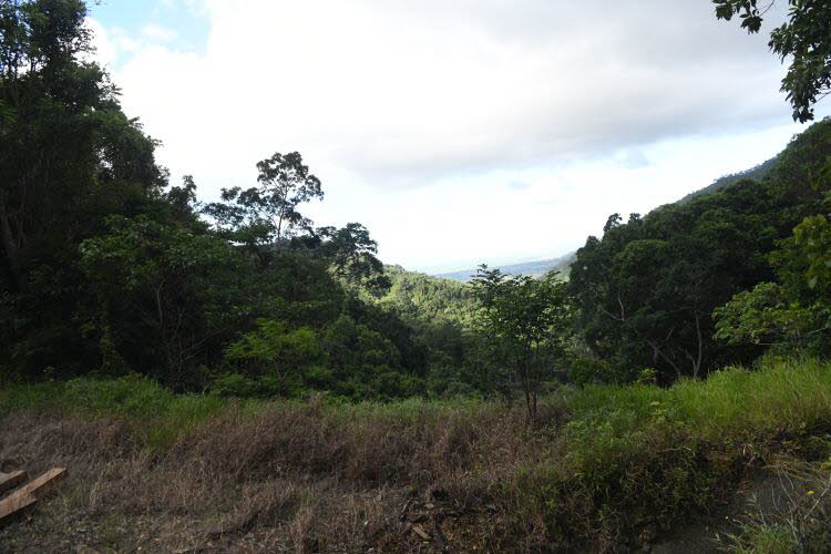 to Cairns 351 Small