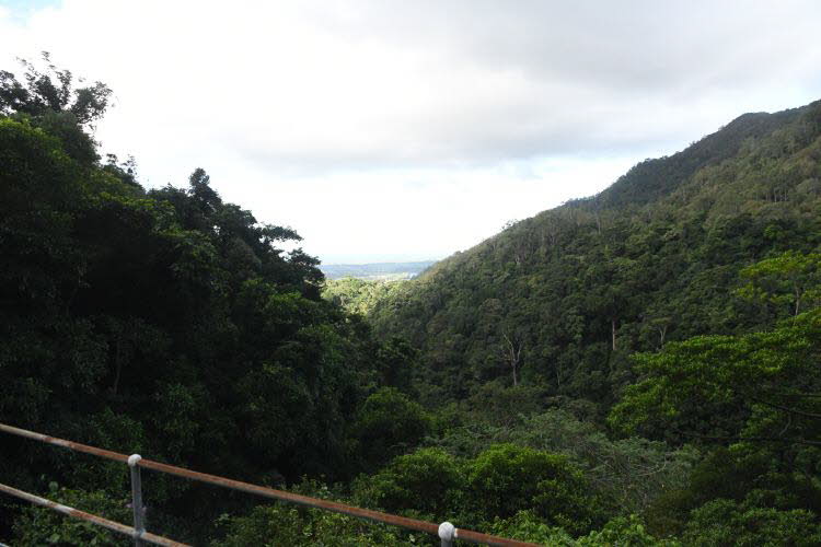 to Cairns 352 Small