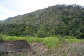 to Cairns 353 Small