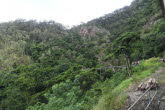 to Cairns 354 Small