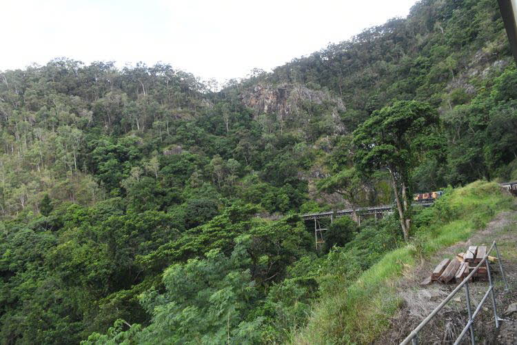 to Cairns 354 Small