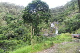 to Cairns 357 Small