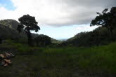 to Cairns 362 Small