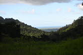 to Cairns 363 Small