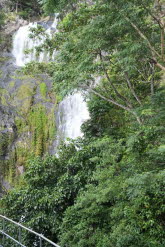 to Cairns 368 Small