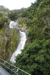 to Cairns 375 Small