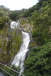 to Cairns 377 Small
