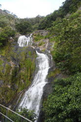 to Cairns 378 Small