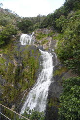 to Cairns 379 Small