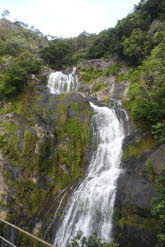 to Cairns 380 Small