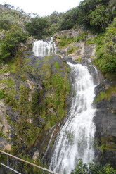 to Cairns 381 Small