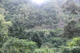 to Cairns 383 Small