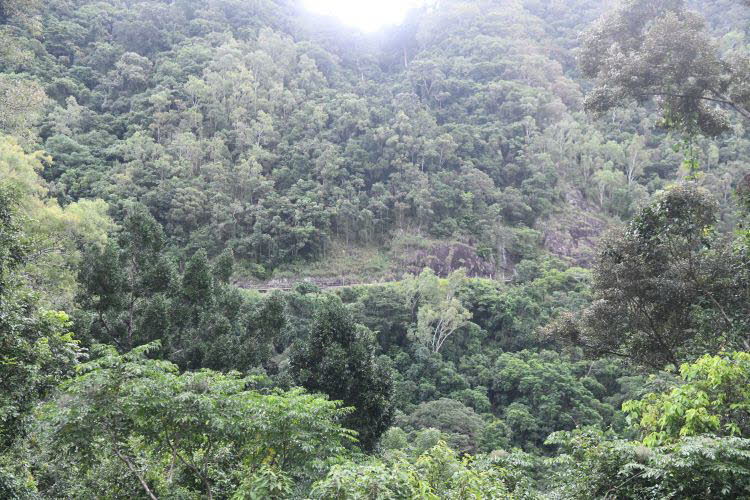 to Cairns 383 Small