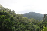 to Cairns 392 Small
