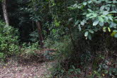 to Cairns 403 Small