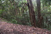 to Cairns 405 Small