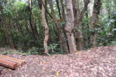 to Cairns 406 Small