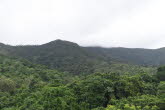to Cairns 415 Small