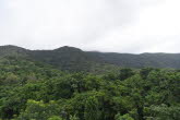 to Cairns 416 Small
