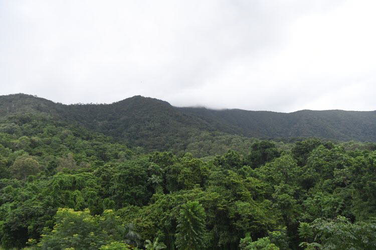 to Cairns 416 Small