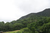 to Cairns 417 Small