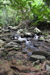 to Cairns 418 Small