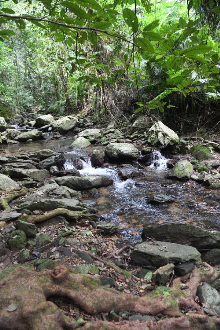 to Cairns 418 Small