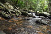 to Cairns 419 Small