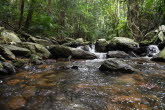 to Cairns 420 Small
