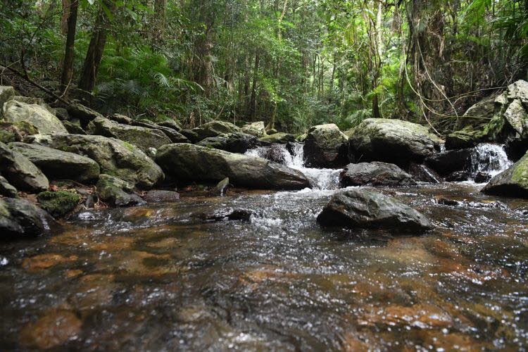 to Cairns 420 Small