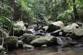 to Cairns 421 Small