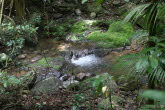 to Cairns 422 Small