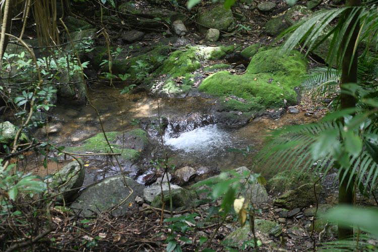 to Cairns 422 Small