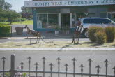 to Home 025 Small