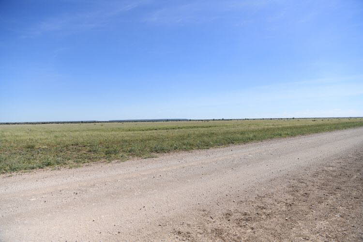 to Longreach 003 Small