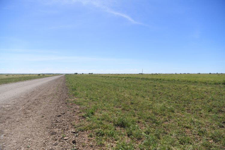 to Longreach 005 Small