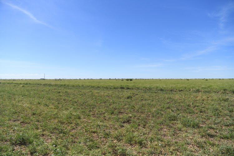 to Longreach 006 Small