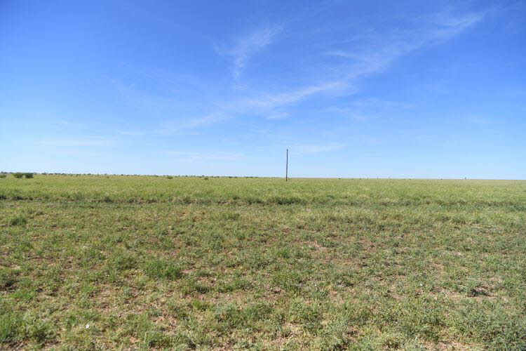 to Longreach 007 Small