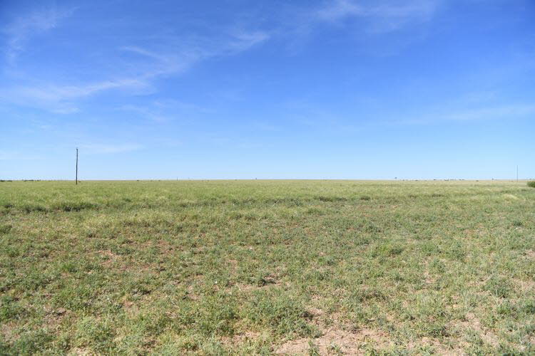 to Longreach 008 Small