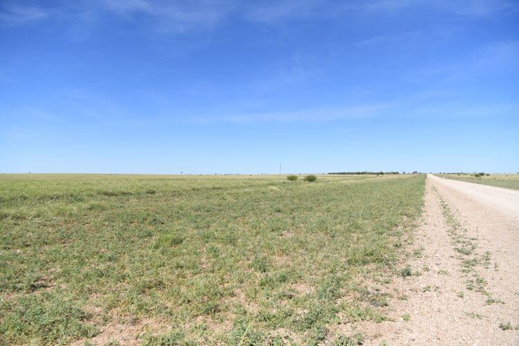to Longreach 009 Small