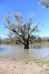 to Longreach 012 Small